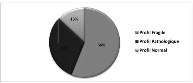 Figure 8 : Répartition des Profils de Langage au BILO 