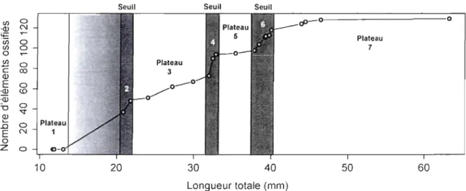 Figure  10. Courbe de maturité représentant le nombre d'éléments postcrâniens ossifiés par  rapport à  la longueur  totale  estimée  des  spécimens  de  Scaumenacia  curta  provenant  de  la  pouponnière_  La zone dégradée de  gris  représente un  interval