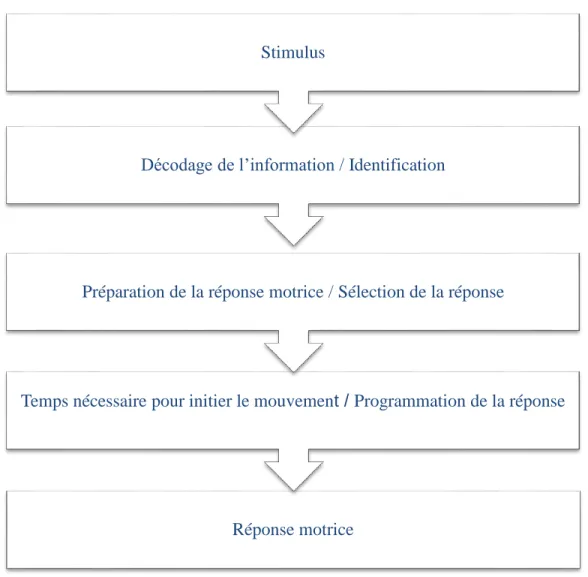 Figure  1  :  Schéma  du  processus  du  temps  de  réaction  (Inspiré  de  Fondarai  et  al