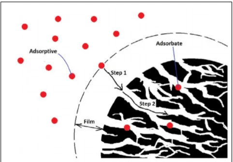 Figure 1.5 Adsorption d’une molécule sur la surface interne d’un absorbant. 