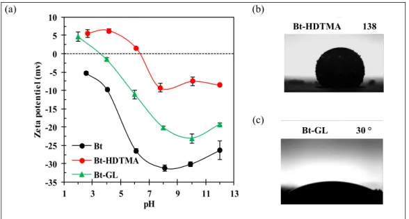 Figure 2.3. (a) Zeta potential values as a function of pH for Bt, Bt-HDTMA   and Bt-GL (b- c) contact angle of Bt-HDTMA and Bt-GL