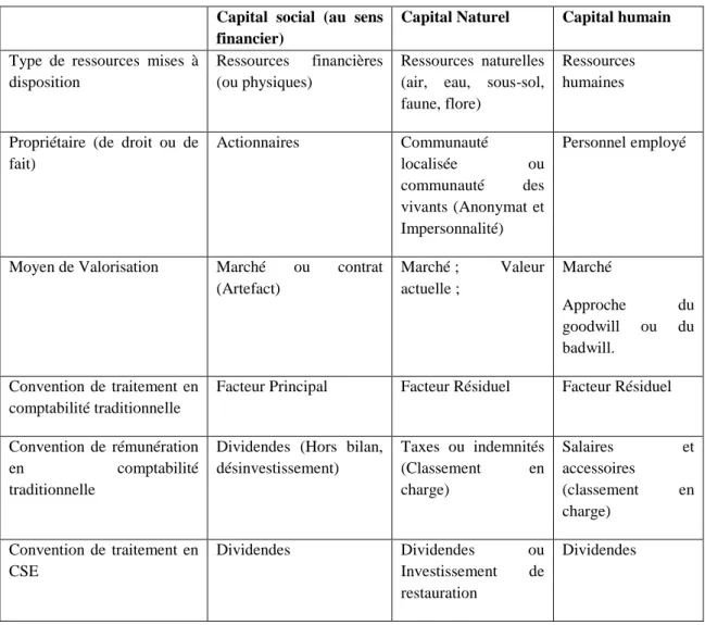 Tableau 5 : Perspectives comparées des dimensions possibles et des attributs du capital  