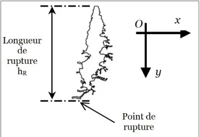 Figure 1.3 Contour du spray après segmentation et mesure de la longueur de rupture
