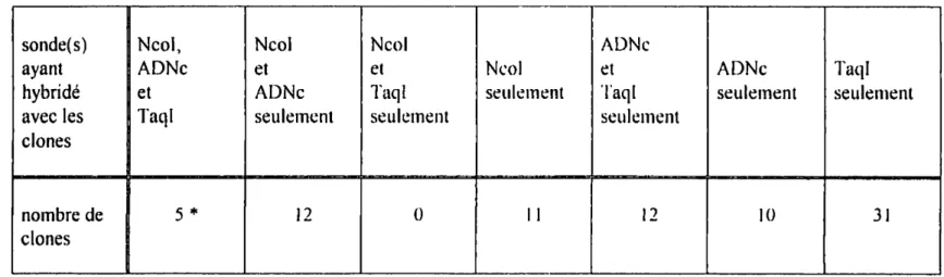 Tableau 1. Résultats du criblage de la deuxième banque de phage avee les sondes Ncol, ADNe et Taql