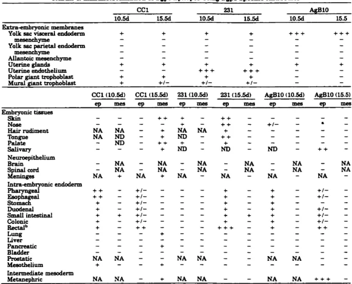 TABLE 1.lmmunolocaHzation ofBgpl Epitopes UsiDg Bgpl-Specific Antibodies-