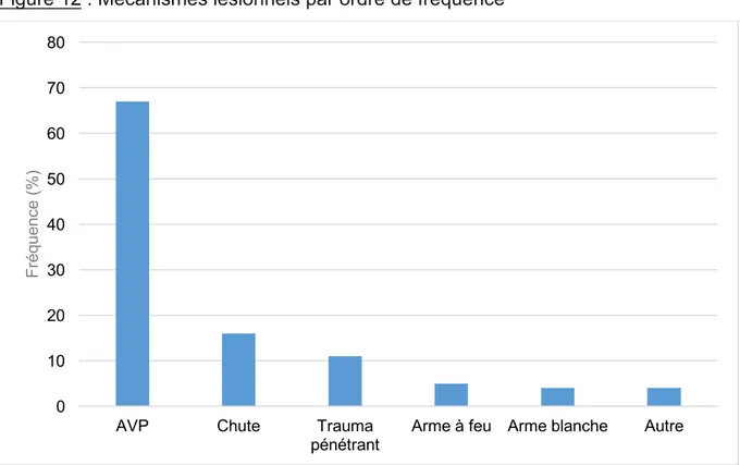Figure 12 : Mécanismes lésionnels par ordre de fréquence 