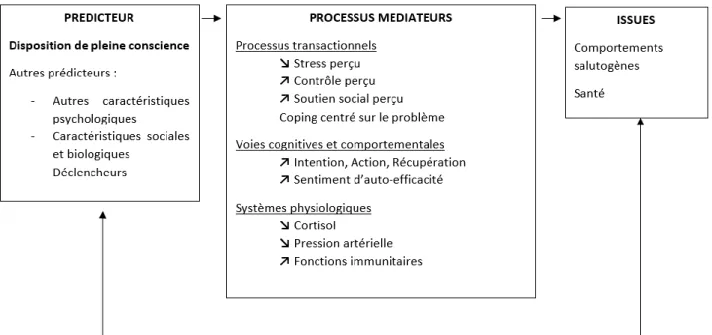 Figure 5 : Modèle Transactionnel Intégratif Multifactoriel adapté à la disposition  de pleine conscience 