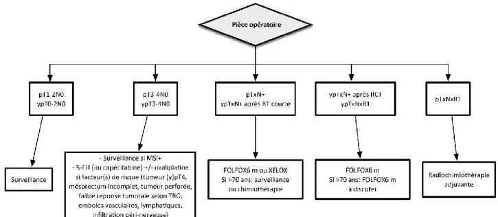 Figure  3 :  Synthèse  concernant  la  place  des  traitements  adjuvants  après  chirurgie  dans  le  cancer du rectum [93] 