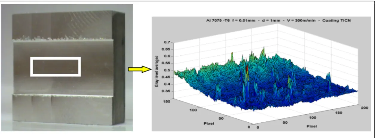 Figure 1.19 Image numérique et répartition du niveau de gris   sur la surface de l’image (Kamguem, 2012)