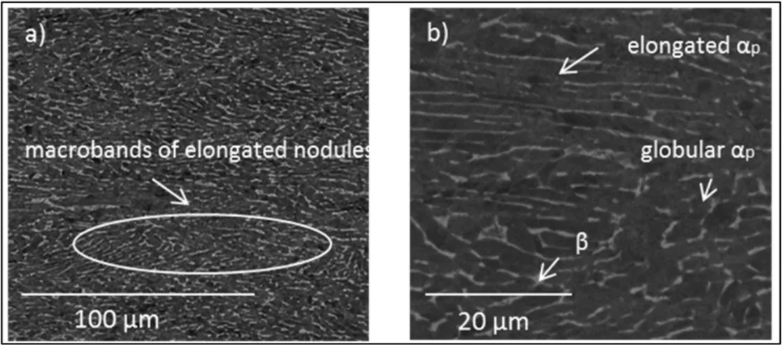 Figure 1-11 SEM micrograph showing the microstructure of cold-rolled  plate: a) low and b) high magnification 