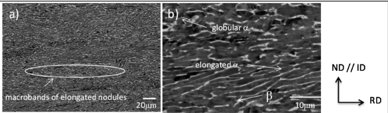 Figure 2-1 SEM micrograph of rolled microstructure a) lower and b) higher  magnification 