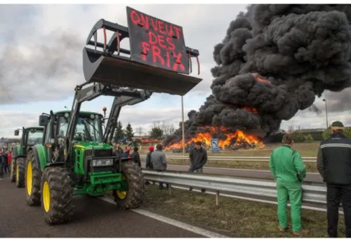 Figure 1. Manifestation d’agriculteurs à Vesoul (est de la France) contre la chute des  prix agricoles, le 29 janvier 2015 