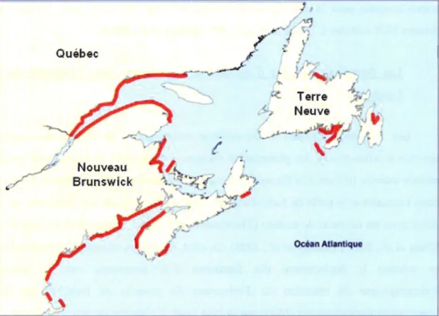 Figure  l.3.  Distribution  des  cas  d'IPM  sur  la  côte  est  de  l'Amérique  du  Nord  (d'après  Anderson et al