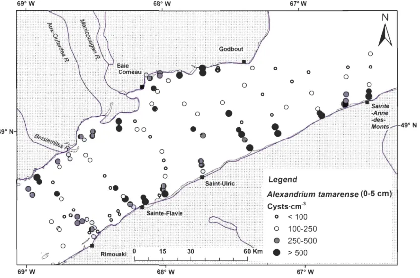 Figure 2.5.  Location of sampling stations and abundances of  Alexandrium tamarense resting cysts (1988) in surface sediments  (0-5  cm) of the St