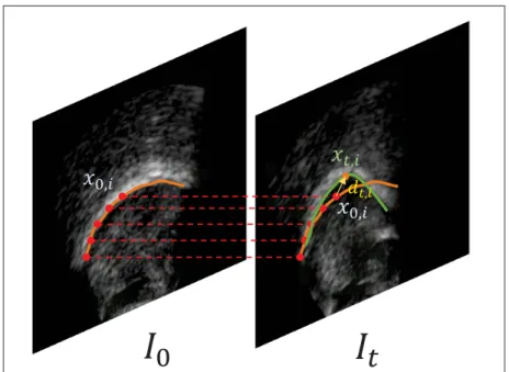 Figure 1.4 Displacement vector setup in Tang et al. (2012).