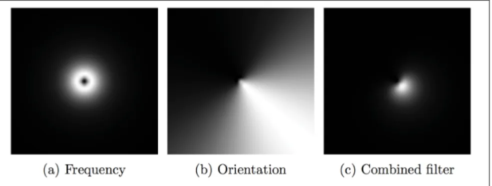 Figure 2.4 Construction of two-dimensional Log Gabor ﬁlter.