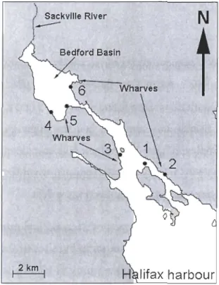 Figure 2.1.  Location of the  six  sampling sites  randomly  selected from  the port of Halifax,  Nova Scotia,  Canada