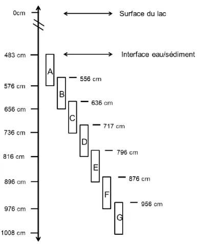 Figure 2. Profil stratigraphique des sédiments du lac Flévy 