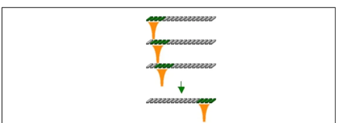 Figure 1-7 Schematic view of electronic scanning of a phased array probe [50] 