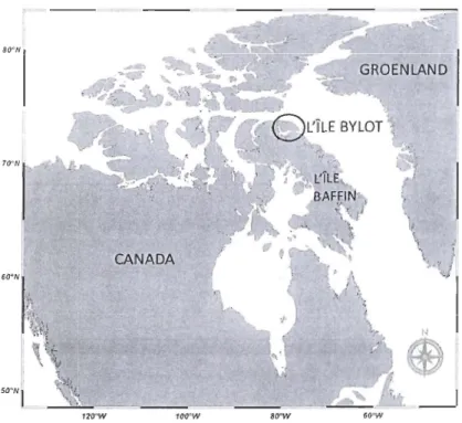 Figure 1.4  S ite d'étude: l'Îl e  Bylot, N U, (73 °08' N, 80 0 00'N) au nord de  l'Île Baffin , NU