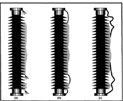 Figure 1: Différentes étapes du processus du contournement électrique des isolateurs  recouverts de glace (a) : apparition des arcs violets, (b) apparition des arcs blancs et (c) 