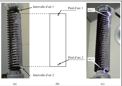 Figure 22: Modélisation en 2D du film d’eau recouvrant un isolateur de poste THT en  présence de deux arcs électriques [20]