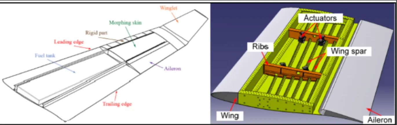 Figure 2.3 Position of the morphing wing tip on the real wing (left) and  inside view of the wing box (right hand side) 