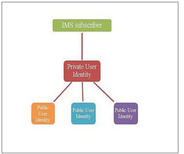 Figure 2.4 Relation entre l’identité privée et public dans IMS Tirée de MROUEH Lina (2006)