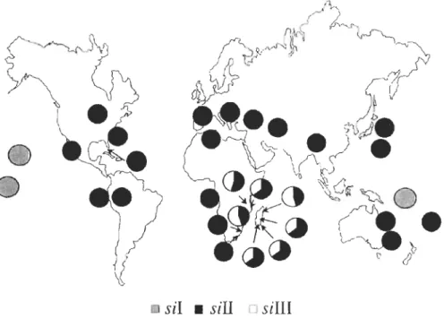 Figure  1.5  Fréquences  des  haplogroupes  d'ADNmt  de  O.simulans  (quand  plus  de  20  individus  ont  été  collectés  à  partir  d'un  seul  site  et  pendant  une  seule  période  d'échantillonnage)  (Tirée de  Ballard, 2004)