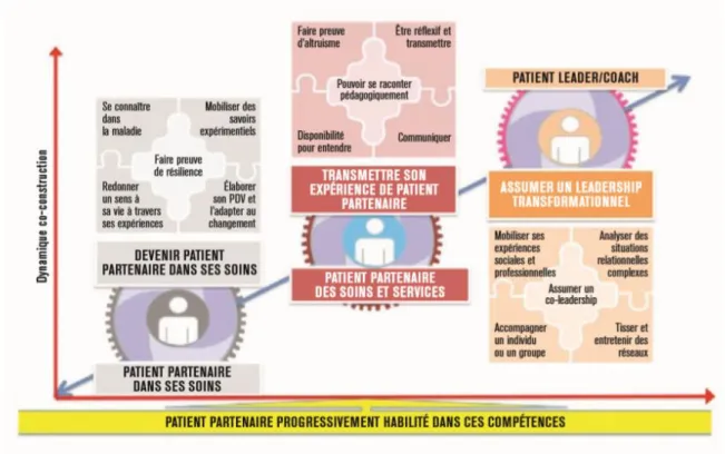 Figure 1 : Référentiel de l’expertise de vivre avec la maladie. [24] 