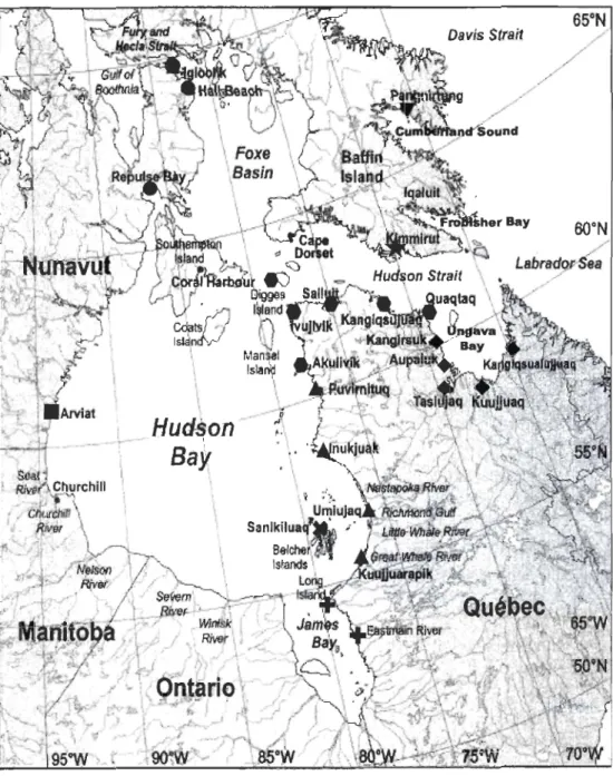 Figure  1.  Study  area  map  with  names  of regions  and  communities  where  beluga  were  captured  and  sampled  (code  for  study  region:  )(  =  Belcher  Islands,  T  =  Cumberland  Sound , •  =  Eastern Hudson Bay,  •  =  Foxe Basin,  *  =  Hud so