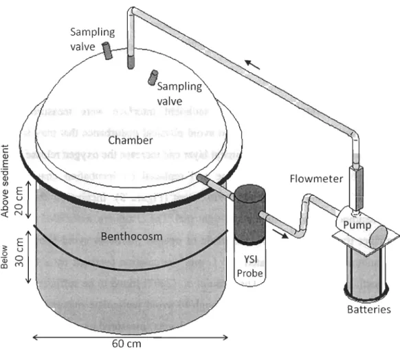 Figure  5:  System  to  measure  nutrient  fluxes  and  oxygen  consumption,  composed  of the  benthocosm inserted into  the  sediment,  a benthic chamber,  a YSI probe,  a pump powered  by  batteries  in  a  waterproof case,  a  flowmeter  and  hoses