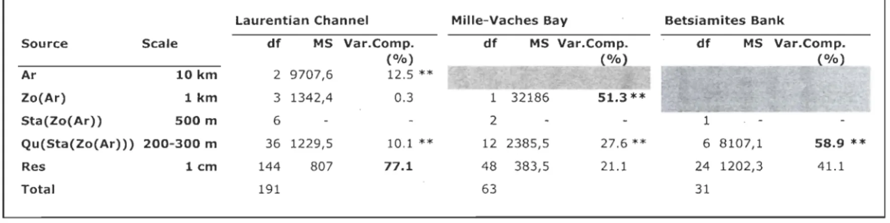 Table  1: Hierarchical PERMANOV  A for differences in  organisms density assemblage data (Bray-Curtis matrix) in the  Laurentian  Channel, the Mille-Vaches Bay and Betsiamites Bank at the different spatial scales