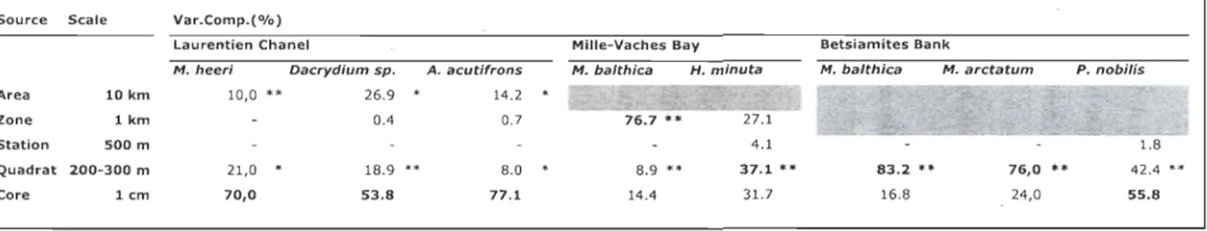 Table 3:  Hierarchical PERMÀNOV  A (Bray-Curtis matrix)  for differences in  the most abundant species in  the Laurentian  Channel (M