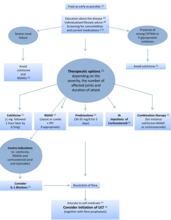 Figure 5 : Prise en charge de la crise de goutte, recommandations EULAR 2016 (18) 