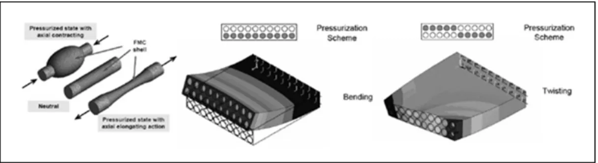 Figure 1.4  Muscle artificiel et pression interne  Tirée de Thill et al. (2008) 