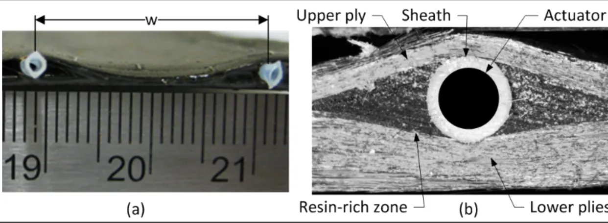 Figure 3.4  Embedding of SMA actuators: (a) Minimum distance between SMA  elements (w), (b) Section view of the panel in the vicinity of the sheath implantation 