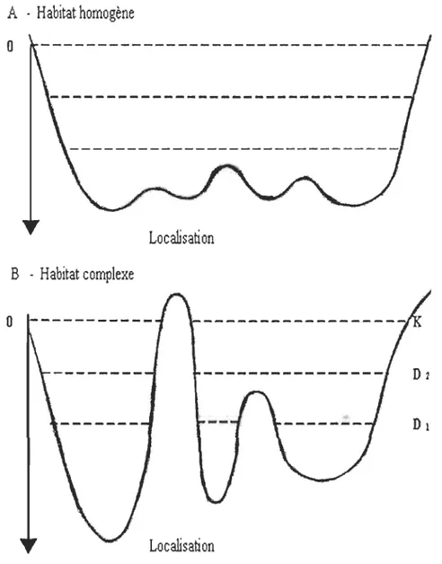 Figure 1.2:  Représentation graphique du modèle de bassin de MacCall (1990). Le bassin est  présenté avec deux niveaux de densité (Dl  et  02) et K,  capacité du  milieu