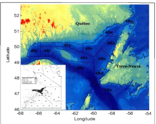 Figure 1.3:  Carte de  la zone d'étude indiquant les  sous-divisions de  l'OPANO pour  le nord du golfe du Saint-Laurent