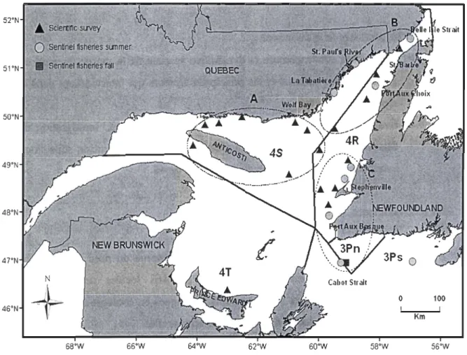 Figure  1.6:  Les  sous-populations de morue dans  le nord du golfe  Saint-Laurent basées sur  l'étude de la composition chimique des écailles