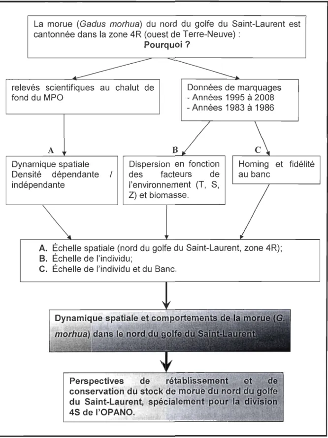 Figure 1.7: Diagramme schématique de la démarche méthodologique. 