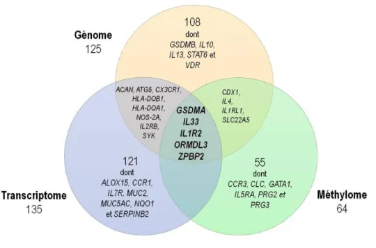 Figure 9. Gènes associés au phénotype d'asthme par trois types d'approche dans la cohorte familiale du  Saguenay−Lac-Saint-Jean