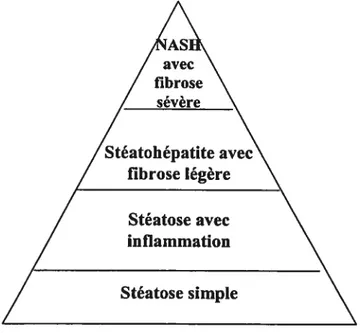 figure J: Système de classification des NAFLD: 4 niveaux qui dépendent de la sévérité des lésions hépatiques4’5.