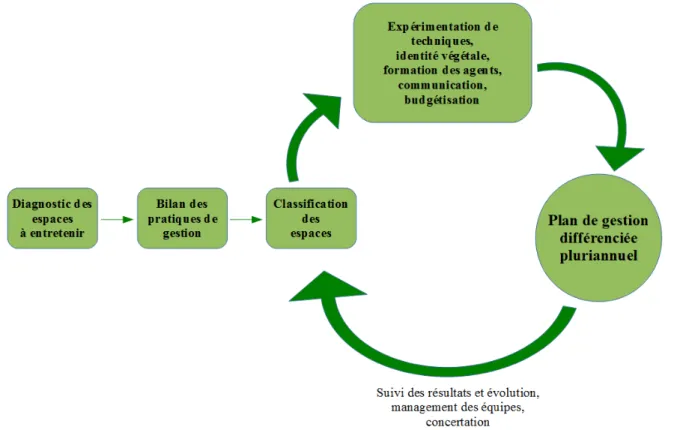 Figure 3 : le cycle des actions de la gestion différenciée (A.PISSARD-GIBOLLET, 2017)
