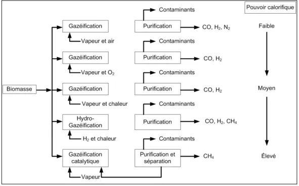 Figure 2.4 Principales méthodes de gazéification. 