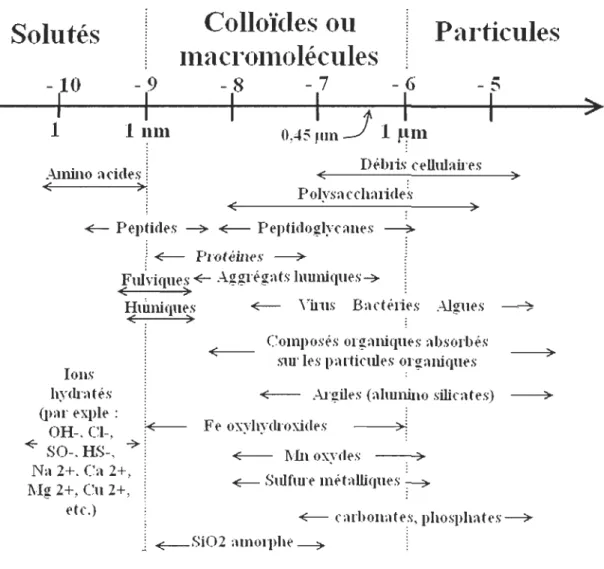 Figure 5  :  Np organiques et inorganiques produites naturellement et les  différentes  tailles des phases solides du compartiment aquatique (tirée de Klaine, 2008) 