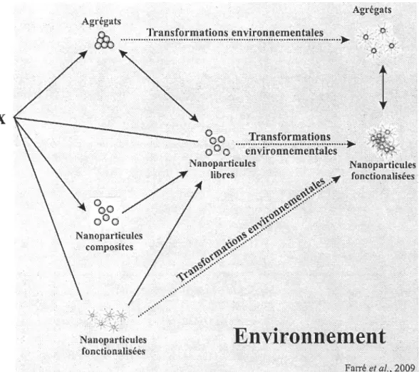 Figure 6 : Modification des Np dans l'environnement (modifiée de Farré  et al, 2009).  .....