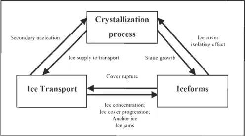 Figure 2.4  The «ice  trinity» model between crystallization process, ice transport  and iccforms components