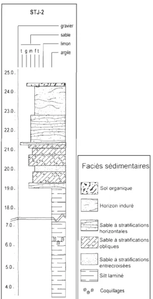 Figure 2.2 Coupe strati graphique réalisée sur la falaise bordant l' amphithéâtre Il 