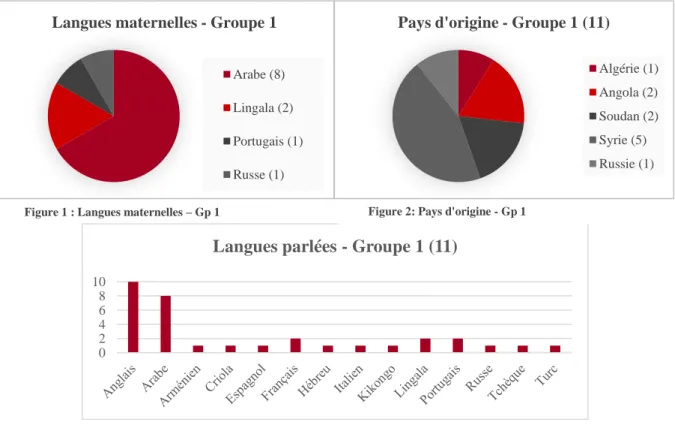 Figure 1 : Langues maternelles – Gp 1